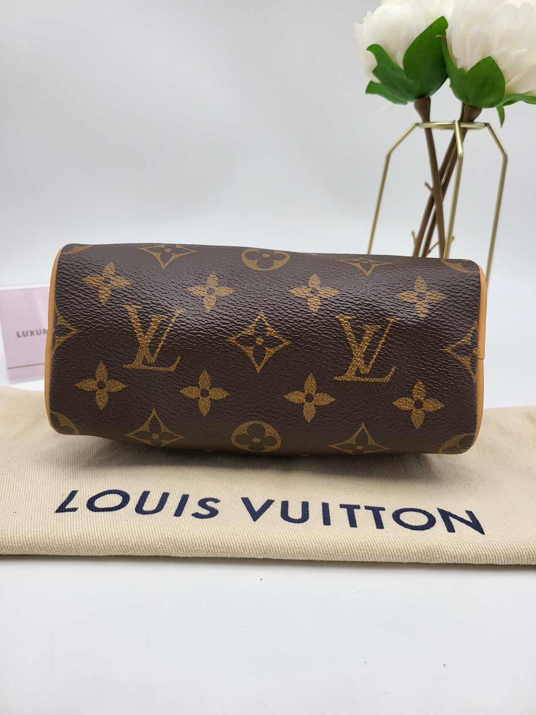 LOUIS VUITTON NANO SPEEDY MONOGRAM