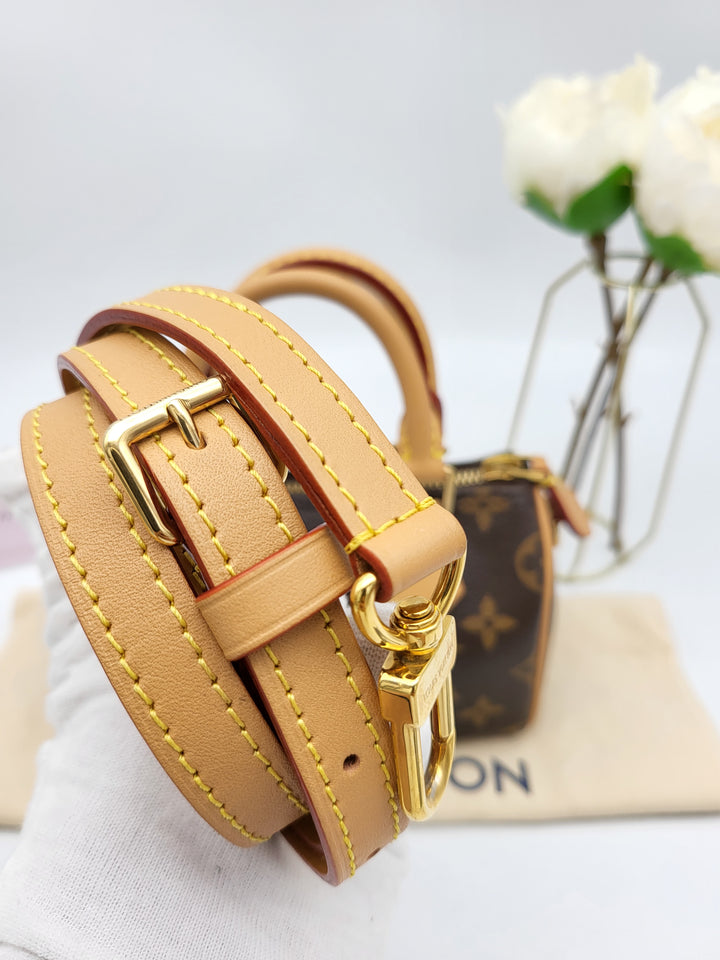 LOUIS VUITTON NANO SPEEDY MONOGRAM