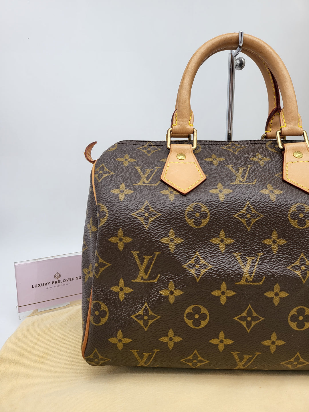 LOUIS VUITTON SPEEDY 25 MONOGRAM