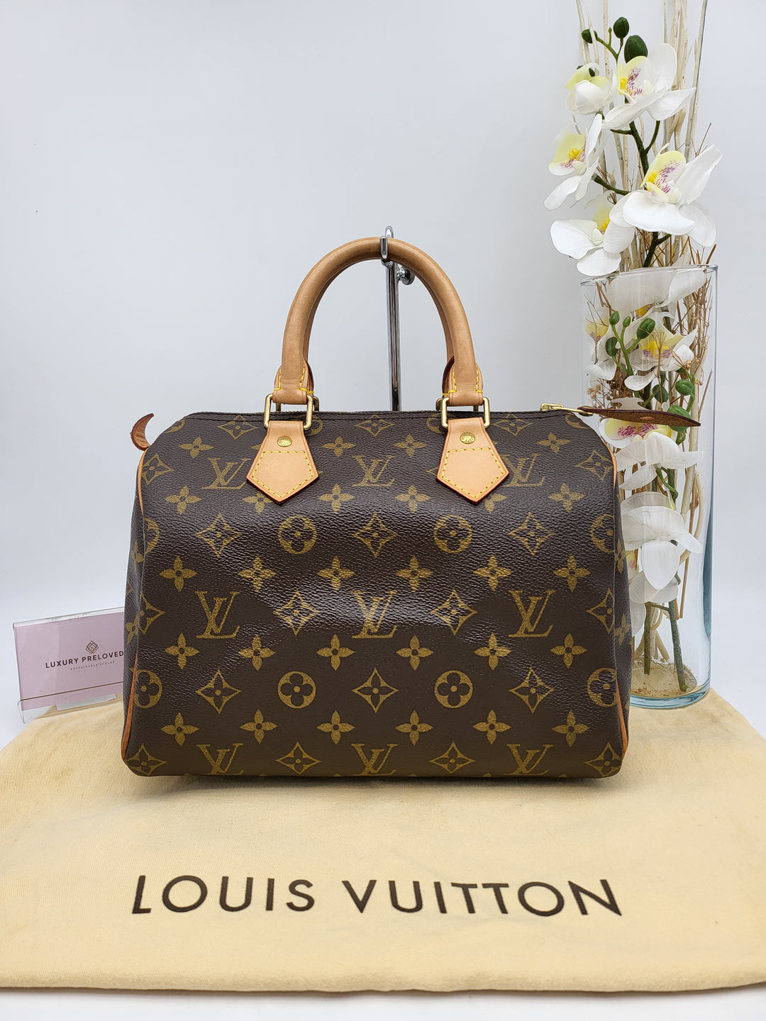 LOUIS VUITTON SPEEDY 25 MONOGRAM