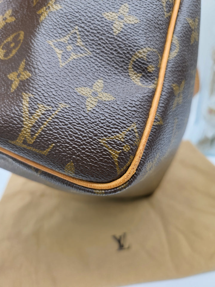 LOUIS VUITTON SPEEDY 30 MONOGRAM