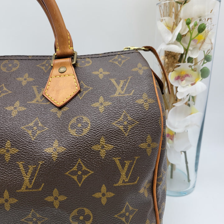 LOUIS VUITTON SPEEDY 30 MONOGRAM