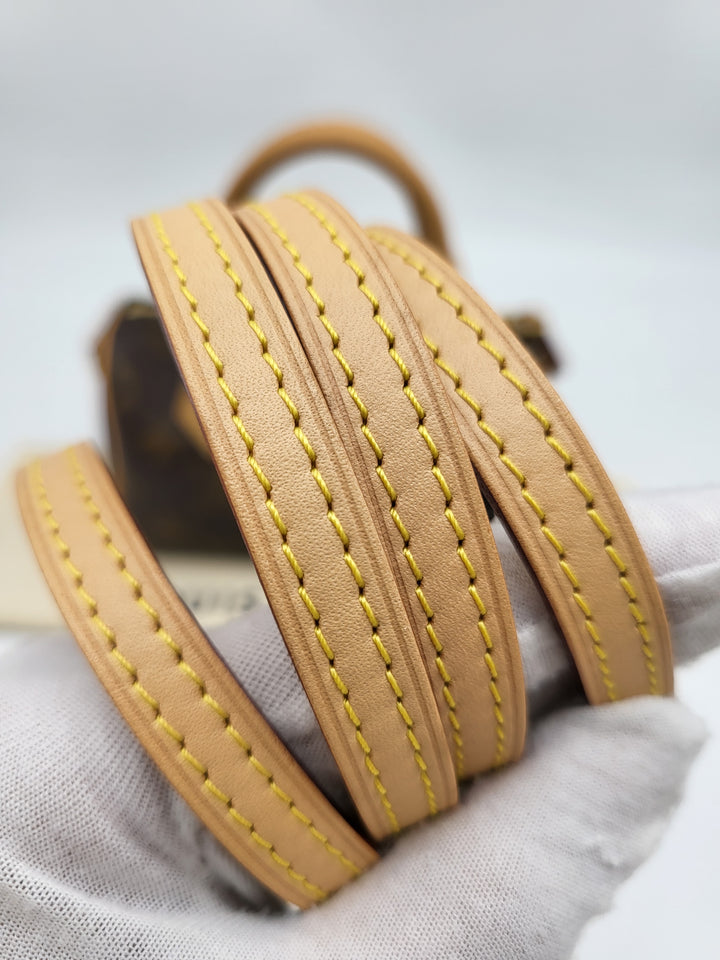 LOUIS VUITTON NANO SPEEDY MONOGRAM