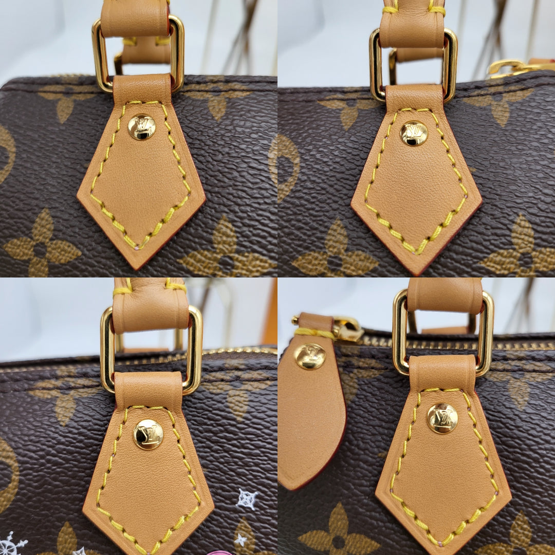 LOUIS VUITTON NANO SPEEDY VIVIENNE MONOGRAM