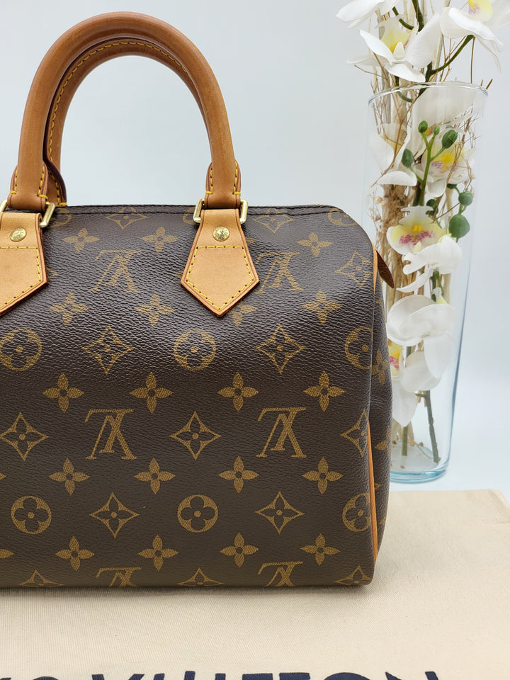 LOUIS VUITTON SPEEDY 25 MONOGRAM