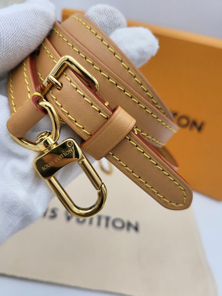 LOUIS VUITTON NANO SPEEDY VIVIENNE MONOGRAM