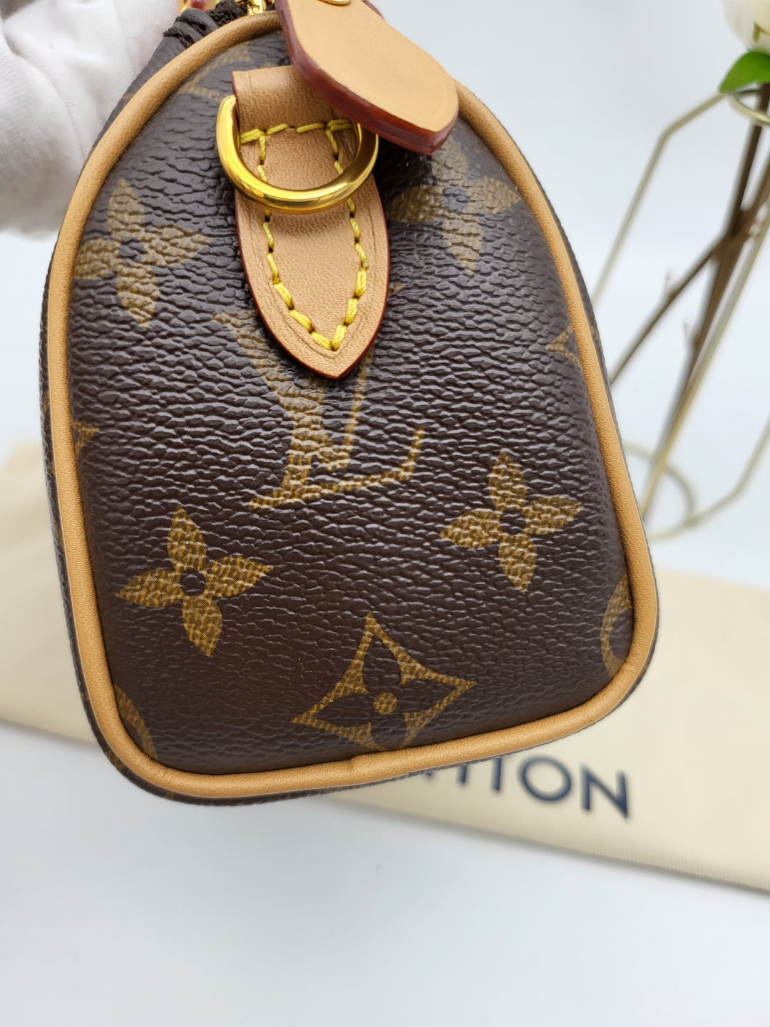 LOUIS VUITTON NANO SPEEDY MONOGRAM