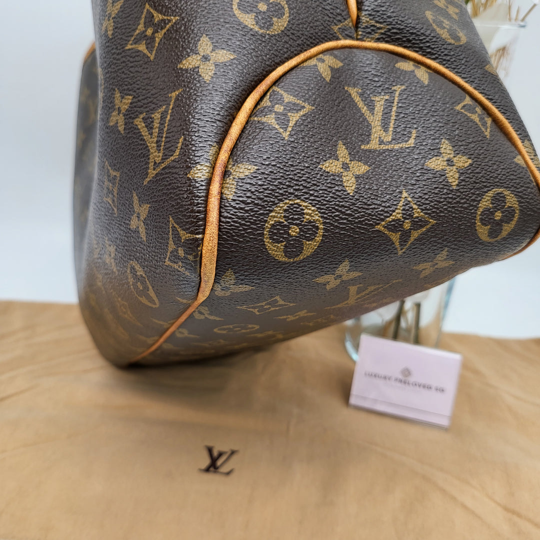 LOUIS VUITTON DELIGHTFUL MONOGRAM PM