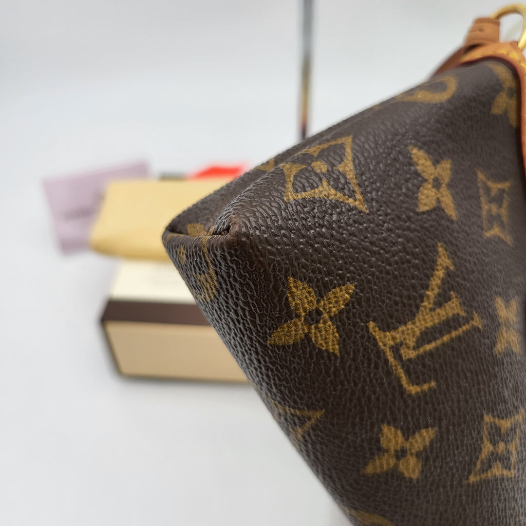 LOUIS VUITTON MINI DELIGHTFUL MONOGRAM