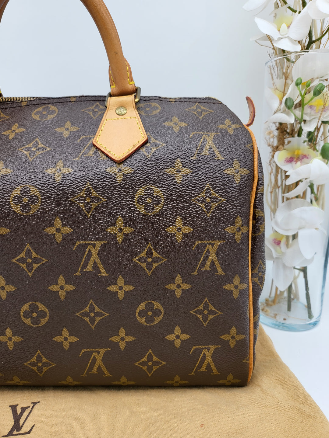 LOUIS VUITTON SPEEDY 30 MONOGRAM