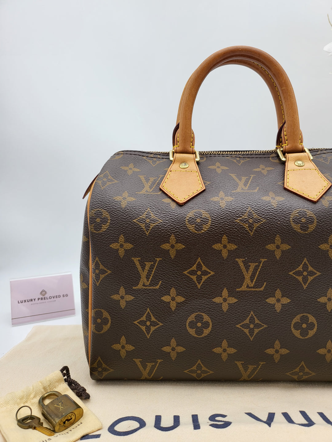 LOUIS VUITTON SPEEDY 25 MONOGRAM