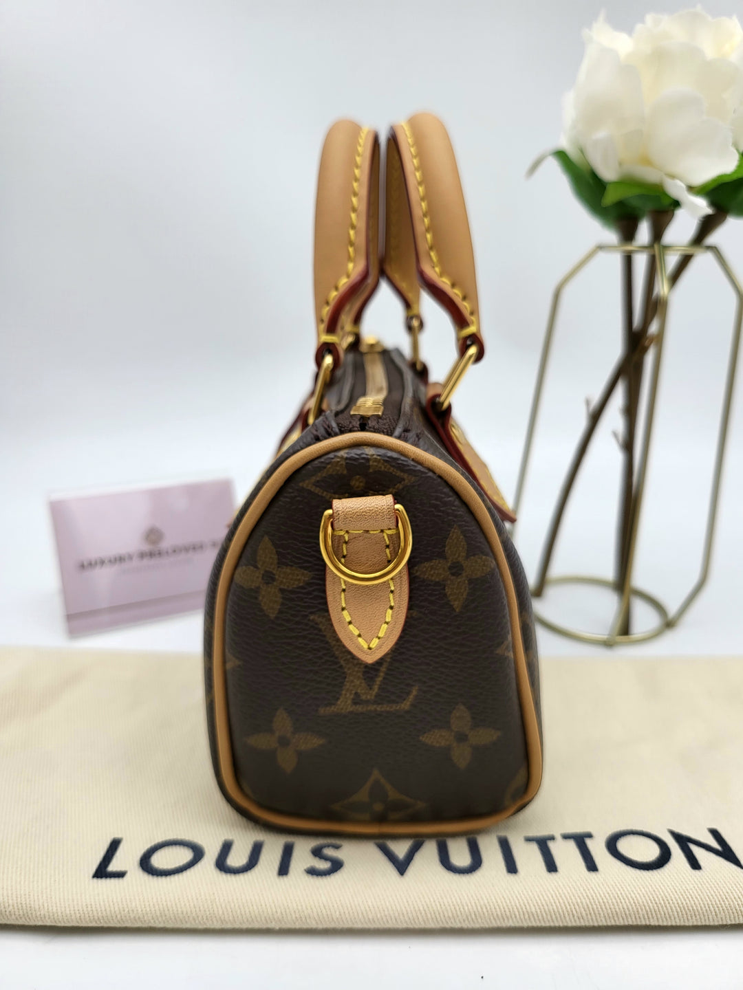 LOUIS VUITTON NANO SPEEDY MONOGRAM