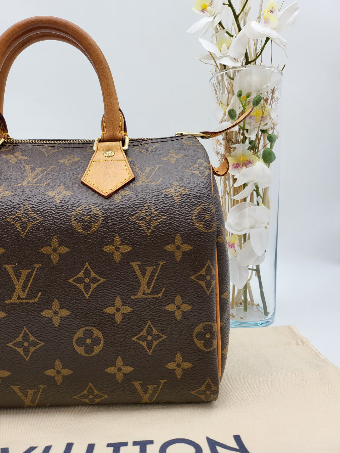 LOUIS VUITTON SPEEDY 25 MONOGRAM