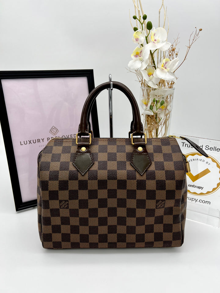 LOUIS VUITTON SPEEDY 25 DAMIER