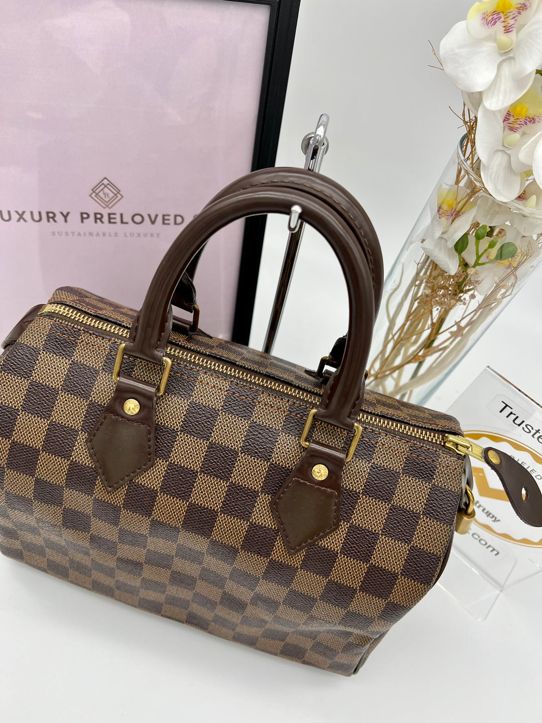 LOUIS VUITTON SPEEDY 25 DAMIER