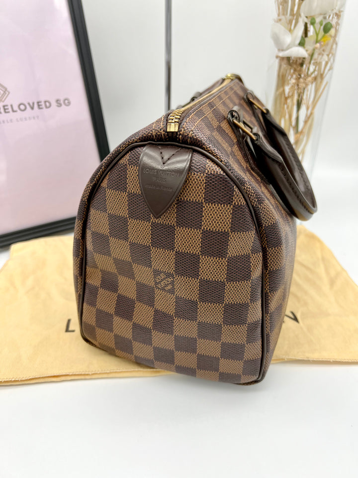 LOUIS VUITTON SPEEDY 25 DAMIER