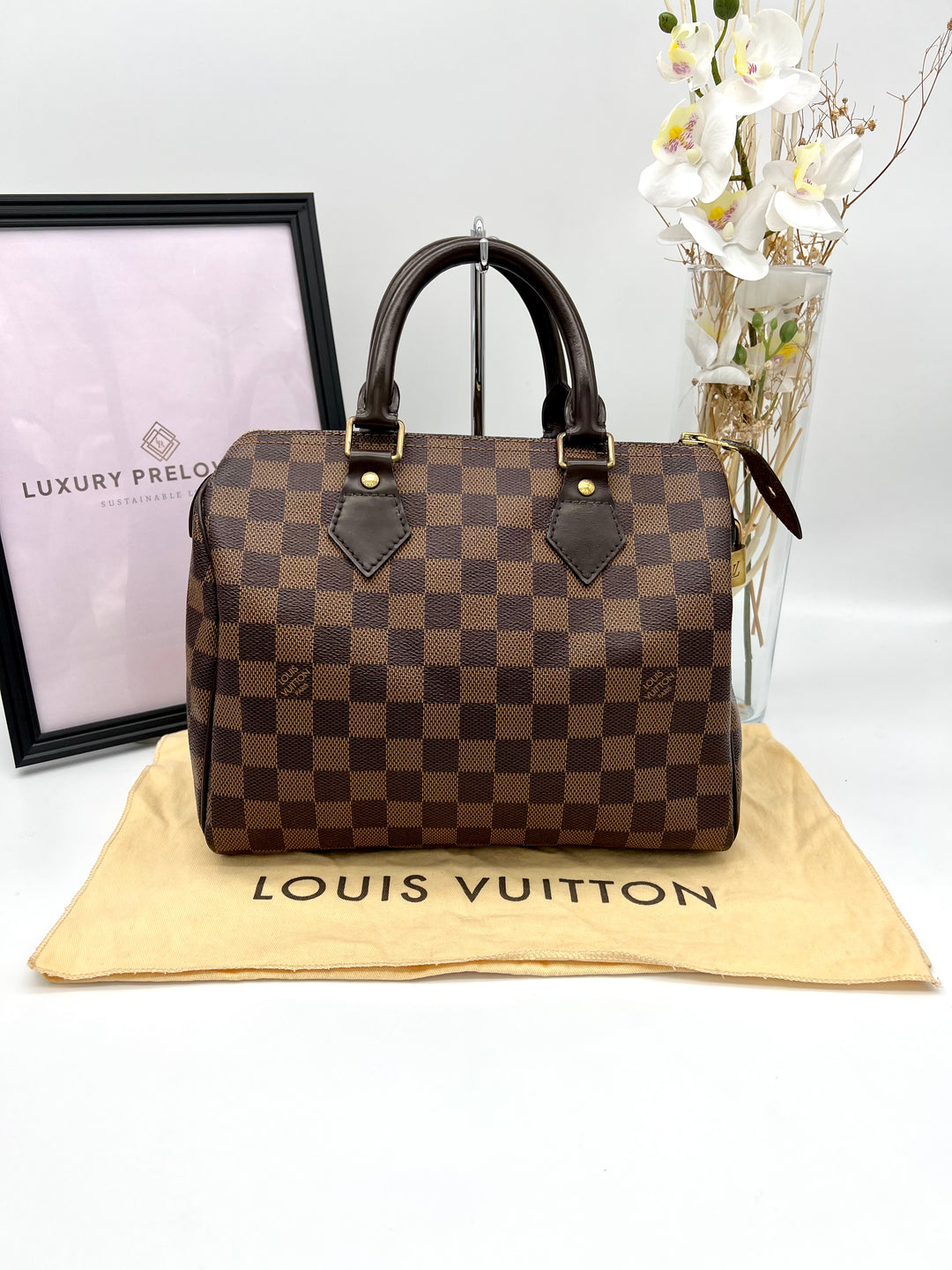 LOUIS VUITTON SPEEDY 25 DAMIER