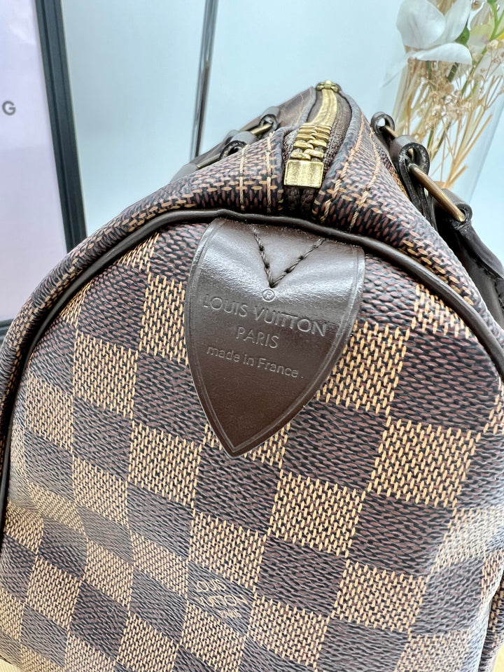 LOUIS VUITTON SPEEDY 25 DAMIER