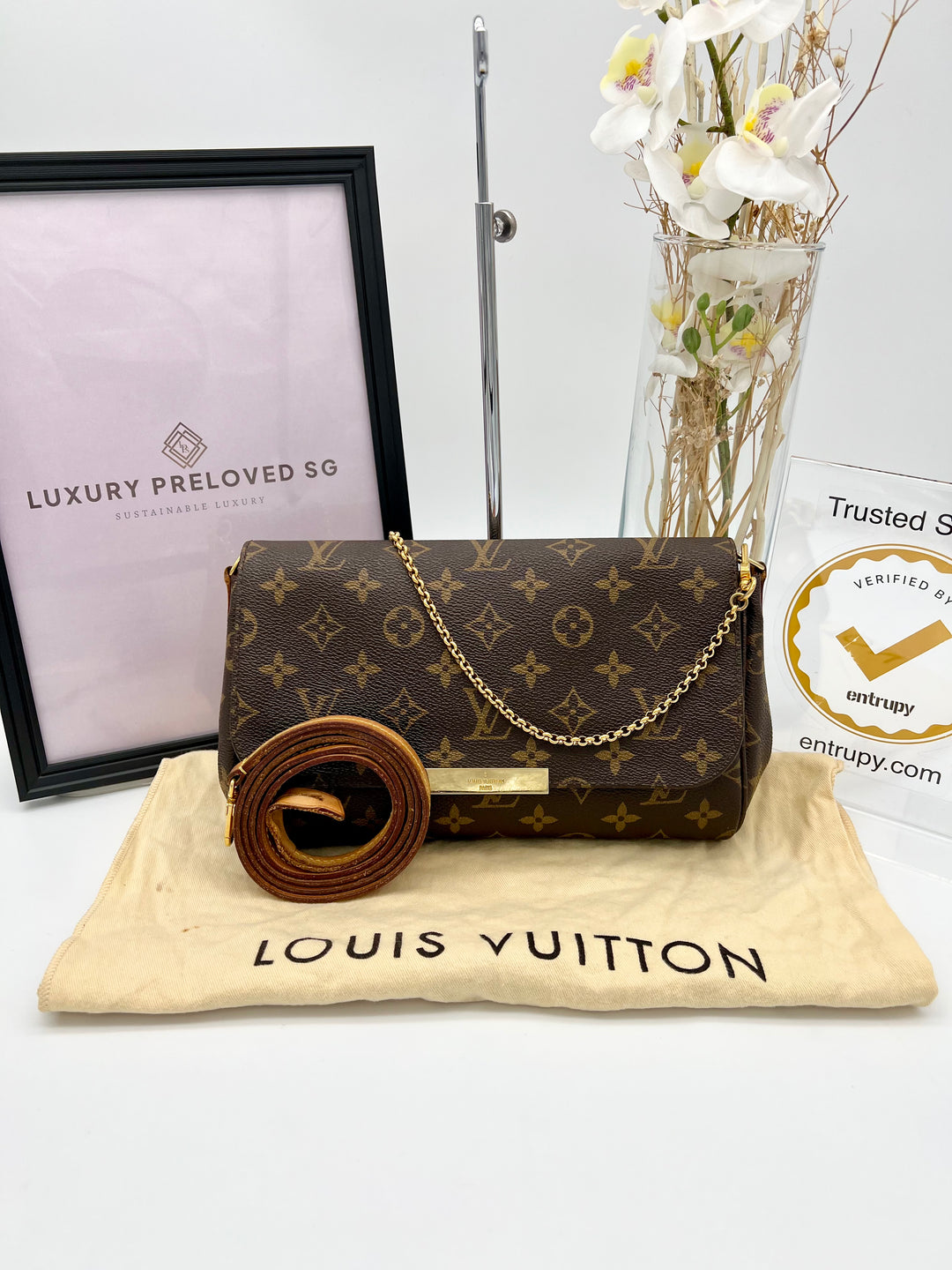 LOUIS VUITTON FAVOURITE MM MONOGRAM