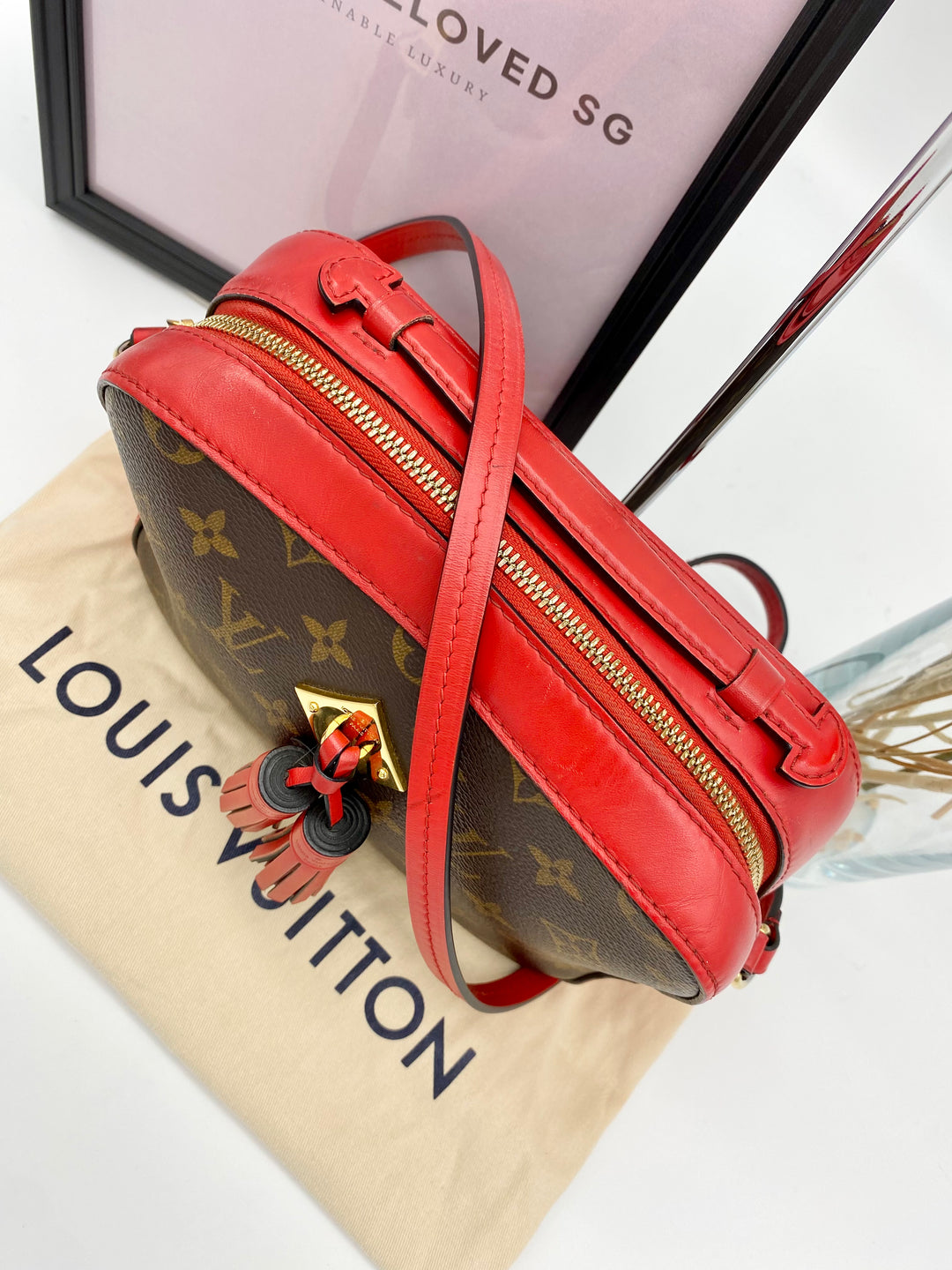 LOUIS VUITTON SAINTONGE