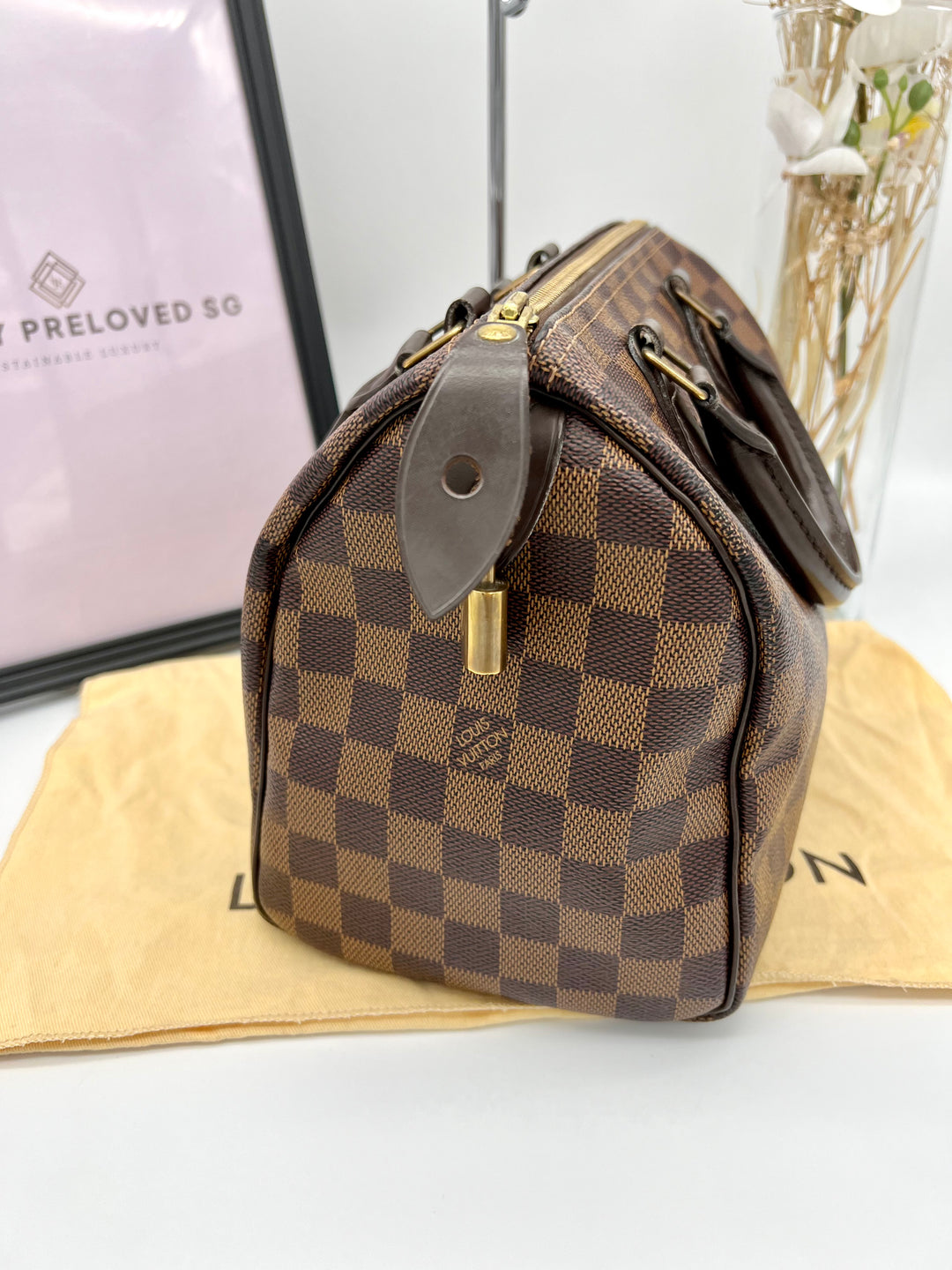 LOUIS VUITTON SPEEDY 25 DAMIER