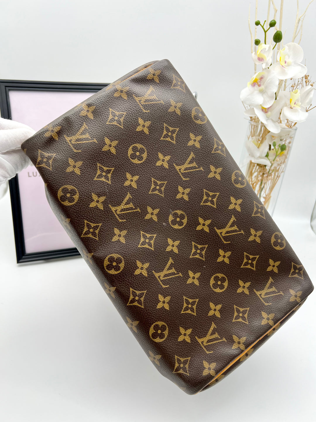 LOUIS VUITTON SPEEDY 30 MONOGRAM