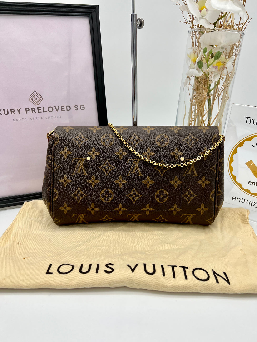 LOUIS VUITTON FAVOURITE MM MONOGRAM